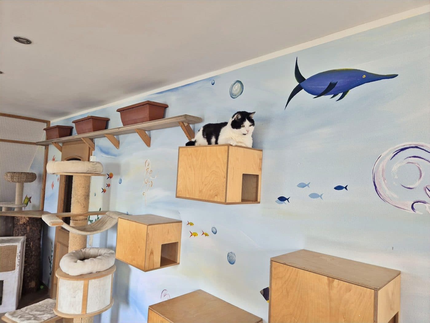Gruppenzimmer „Fische & Meer“ mit maritimer Wandgestaltung