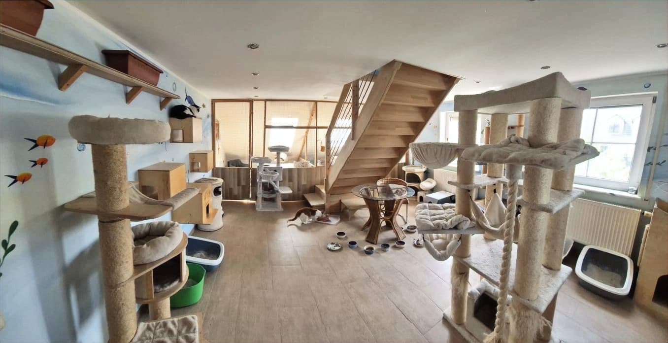 Zimmer mit Rampen und Klettermöglichkeiten in mehreren Ebenen