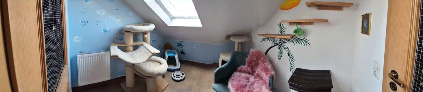 Blick über die Kletterlandschaft eines Gruppenzimmers