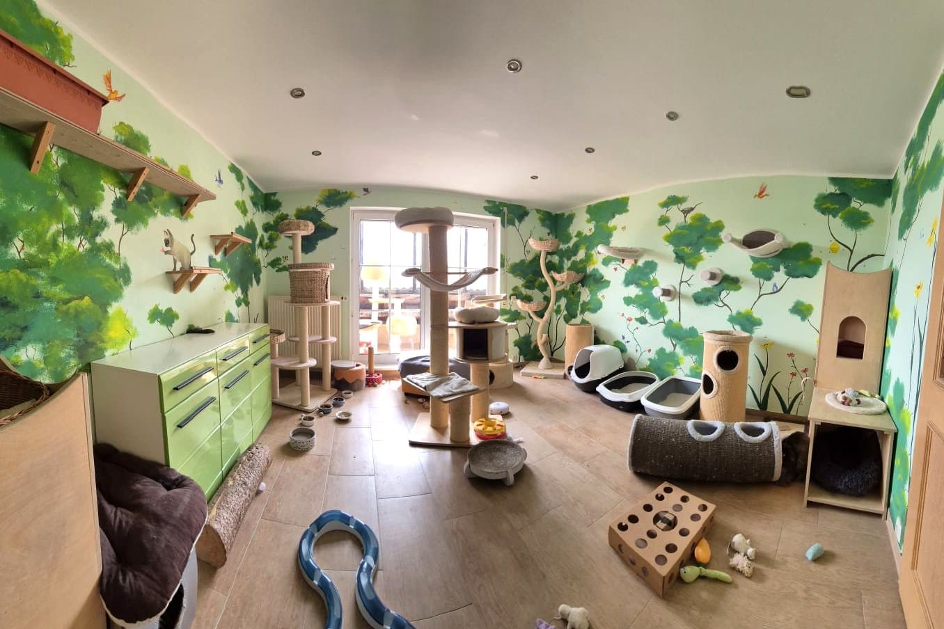 Gruppenzimmer „Urwaldabenteuer“ mit gemalter Dschungelwand und vielen Kletterebenen